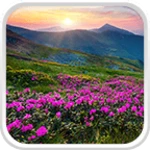 mountain flower live wallpaper android application logo